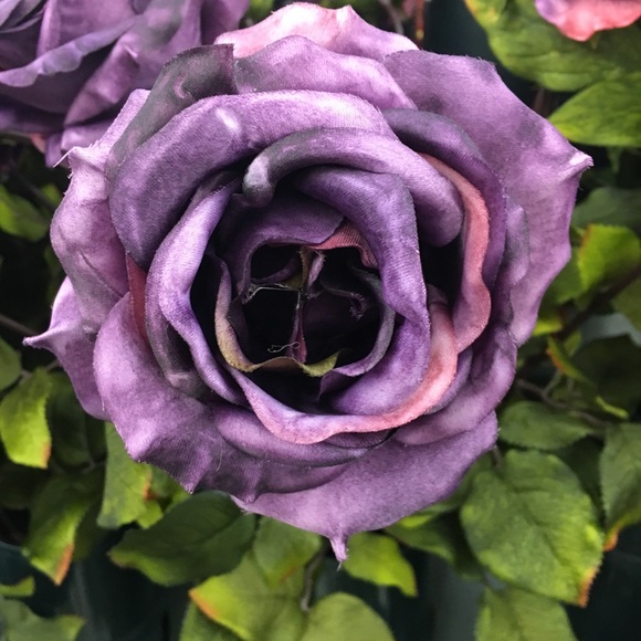 Meet your Posher, Alana - Picture 1 of 1